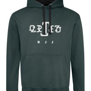 Two Colour Hoodie - ARTEZ